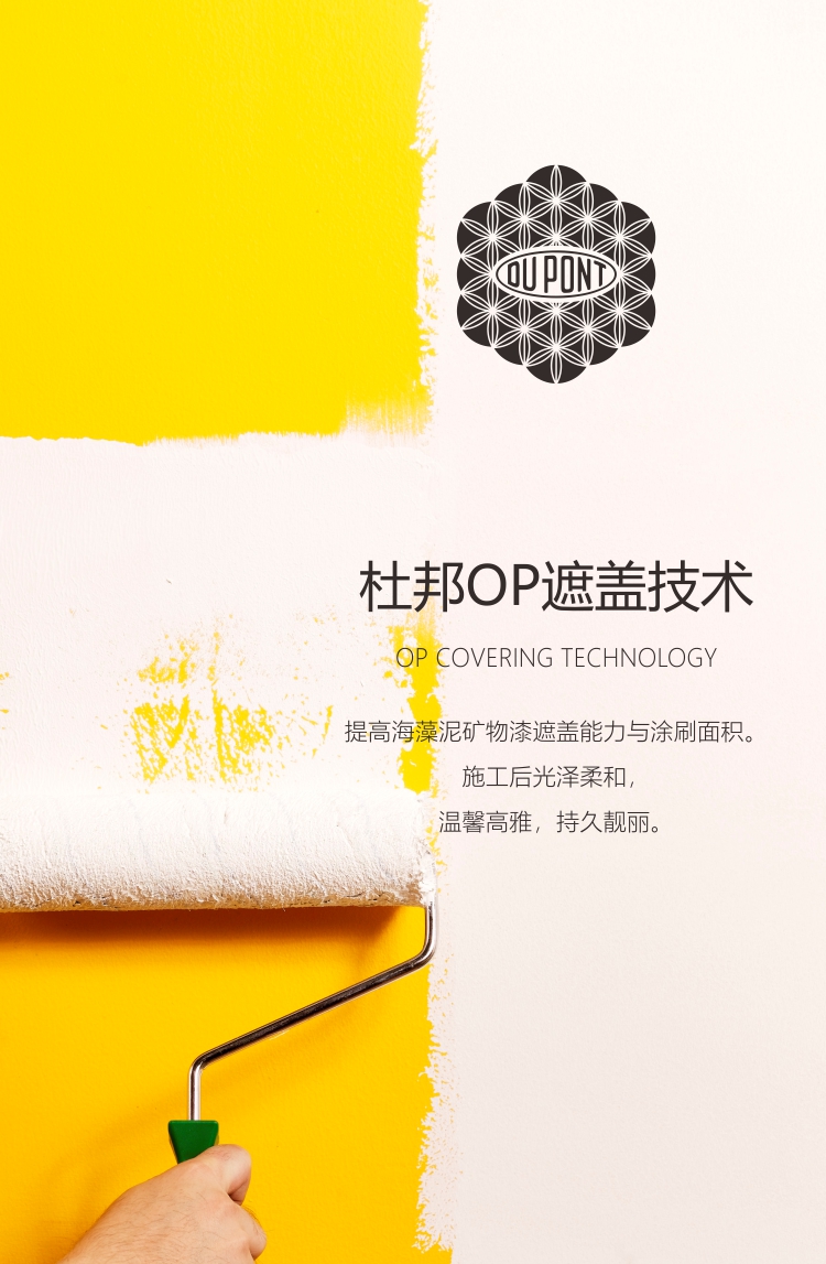 海藻泥矿物漆 纯净优